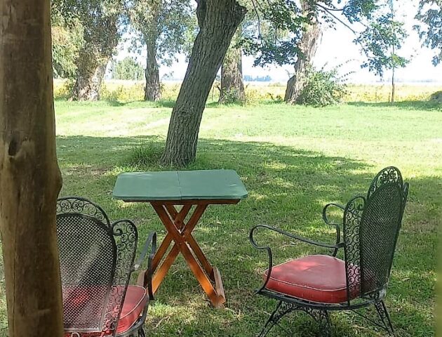 la cercana jardin